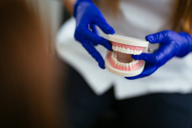 Best Traditional Braces  in Barrington Hls, IL